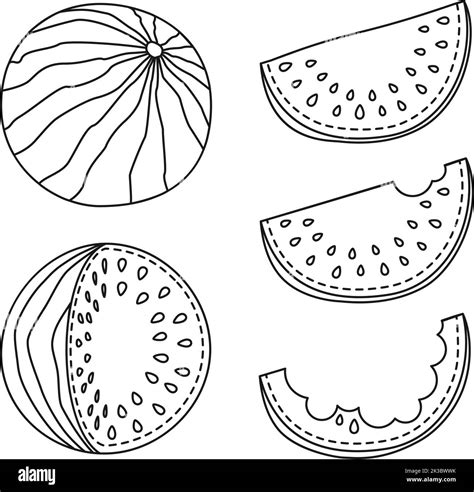 Black And White Watermelon Collection Of 5 Elements Healthy Vegan Food