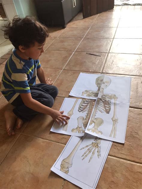 Atividade Esqueleto Educação Infantil - Brincadeiras para fazer em casa: o esqueleto do corpo humano - Noeh
