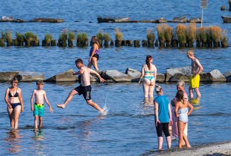 Wasserqualit T Im Stettiner Haff Backhaus Will Aufkl Ren