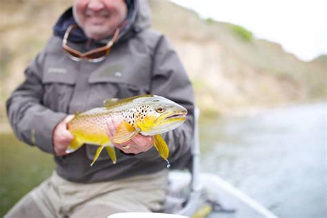 Fishing In Great Falls, MT | Montana Fishing Guides