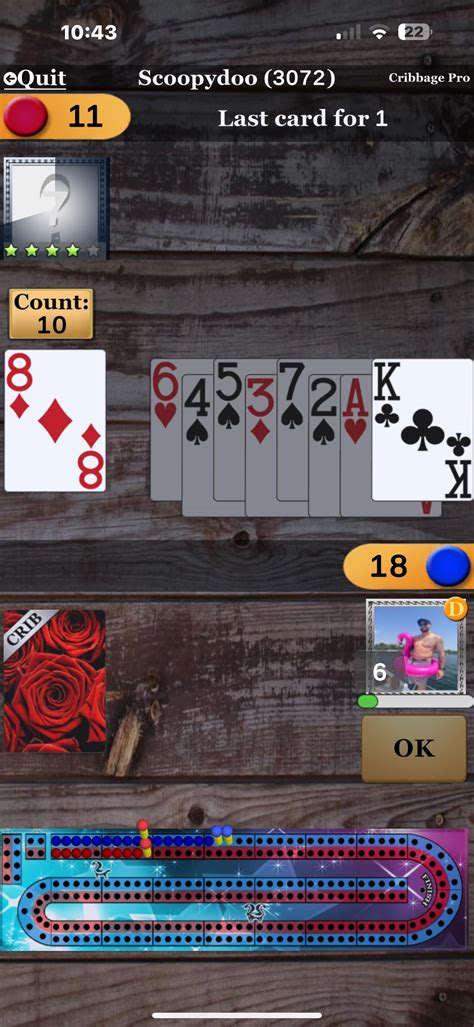 nice  point peg rcribbage