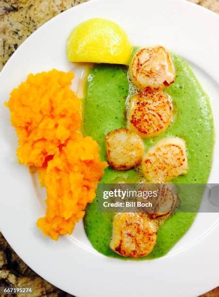 98 Scallop Squash Stock Photos, High-Res Pictures, and Images - Getty ...