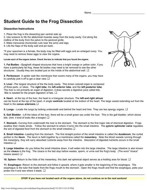 Virtual Frog Dissection Worksheets