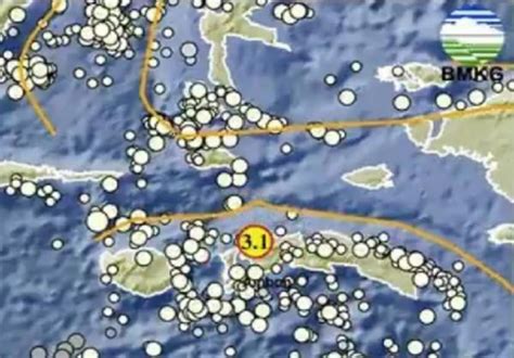 Gempa Hari Ini Guncang Seram Bagian Barat Berkekuatan M 31