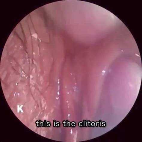 Astronomy Of The Pussy ThisVid