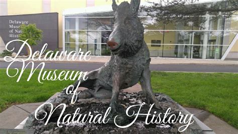 Delaware Museum of Natural History | Tour - YouTube