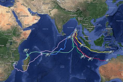 Leatherback Turtles Of The Andaman And Nicobar Islands Sea Turtles Of