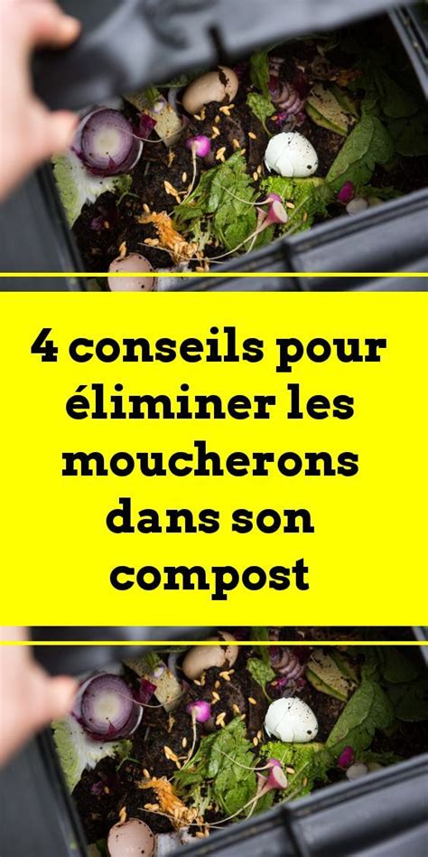 Conseils Pour Liminer Les Moucherons Dans Son Compost Moucheron