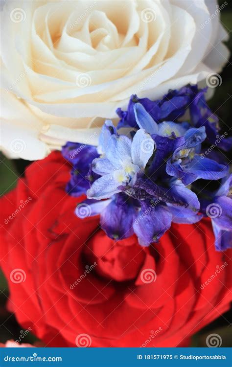 Red White and Blue Wedding Flowers Stock Image - Image of bouquet, arrangement: 181571975