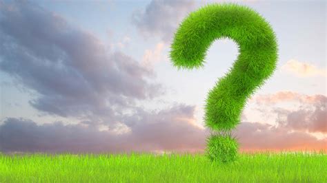 Frequently Asked Questions On Nature Chartered Accountants Worldwide