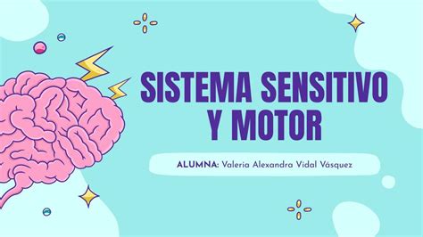 Sistema Sensitivo Y Motor Valeria Vidal Vásquez Udocz