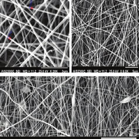 Scanning Electron Micrograph Sem Images Show The Electrospun Poly