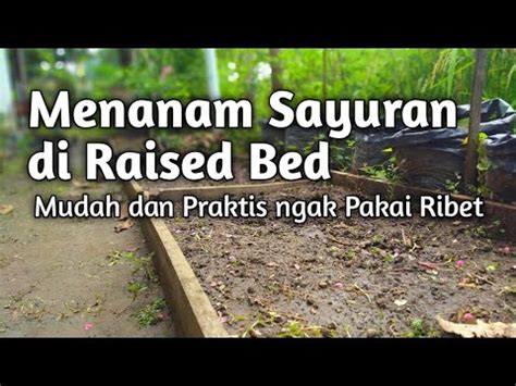 Menanam Sayuran Di Raised Bed Youtube