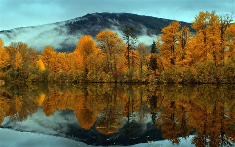 Hintergrundbilder Bäume Landschaft Wald See Natur Betrachtung