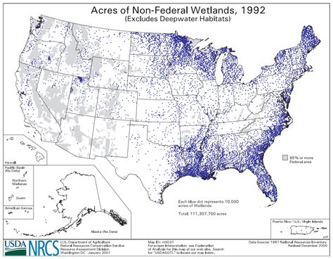 Wetland Map Symbol