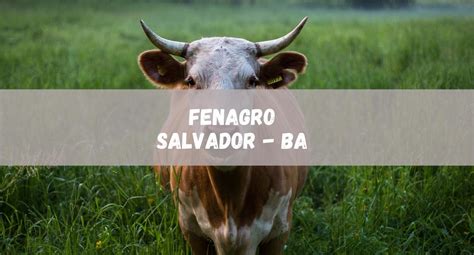 Fenagro Em Salvador Destaque Para O Agrobusiness