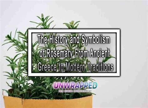 The History and Symbolism of Rosemary From Ancient Greece to Modern ...