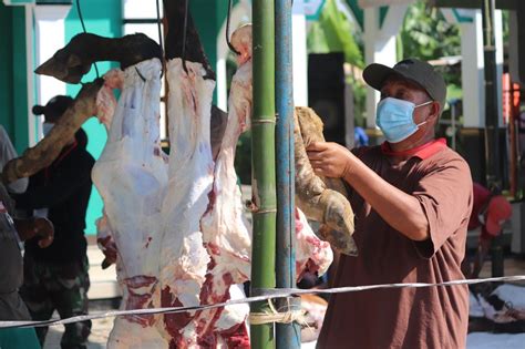 Bagaimana Hukum Kurban Untuk Orang Meninggal