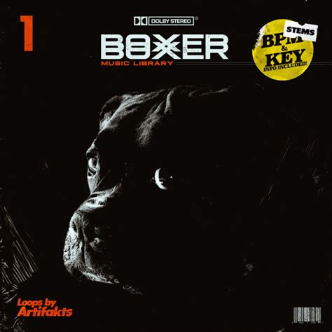 BML Sample Pack (Vol. 1) | Artifakts