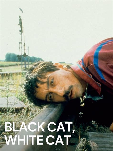 Prime Video: Black Cat, White Cat