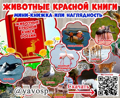 Животные Красной книги России | скачать и распечатать