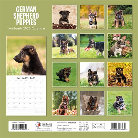 Duitse Herder Puppies Kalender Kopen Eenvoudig En Snel Online