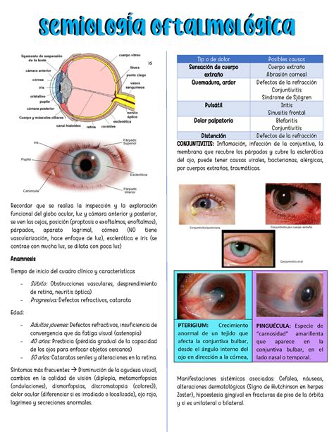 Semiolog A Del Ojo El Ojo Es El Rgano De La Visi N Es El Nico