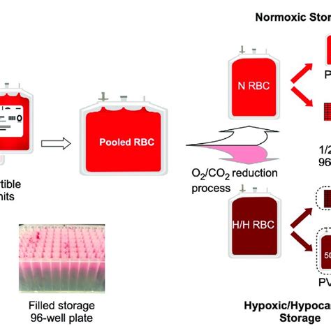 Experimental set-up. The diagram shows the processing and splitting ... 