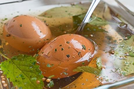 Omas Salzgurken Rezept