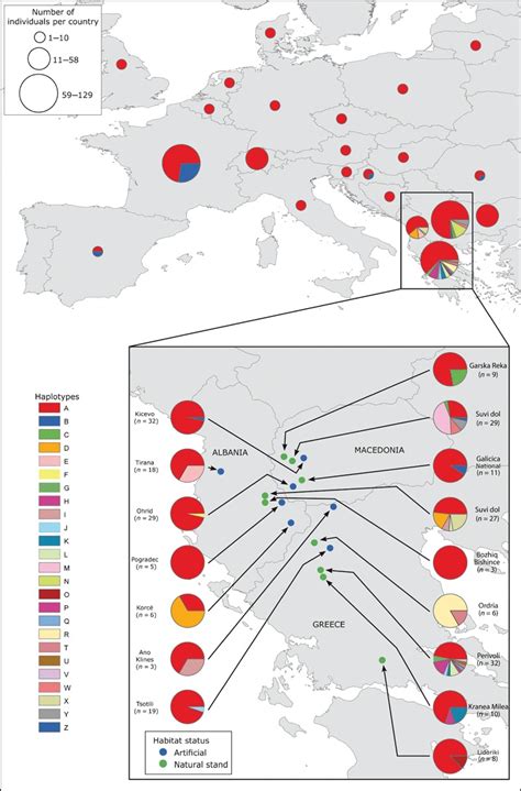 Geographic Distribution Of The 25 Haplotypes Among The 22 Sampled