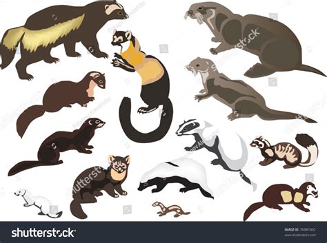 Illustration Fur Animals Collection Isolated On Stock Vector (Royalty ...