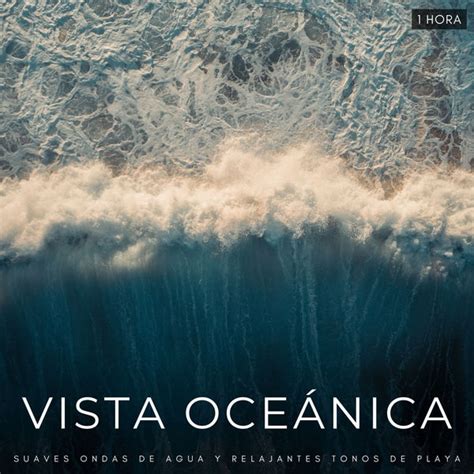 Vista Oceánica Suaves Ondas De Agua y Relajantes Tonos De Playa 1