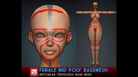 Female Mid Poly Base Mesh YouTube