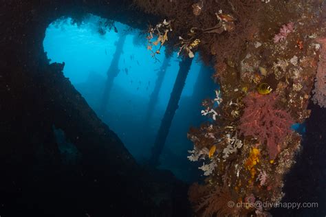 Diving The Usat Liberty Shipwreck Bali June Dive Happy