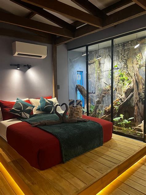 Rockinnest Hotel El Nido 80 ̶8̶6̶ Updated 2024 Prices And Reviews Palawan Island