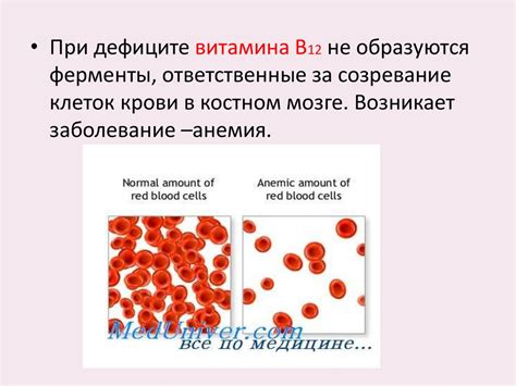 Витамины. Авитаминоз и гипервитаминоз - презентация онлайн