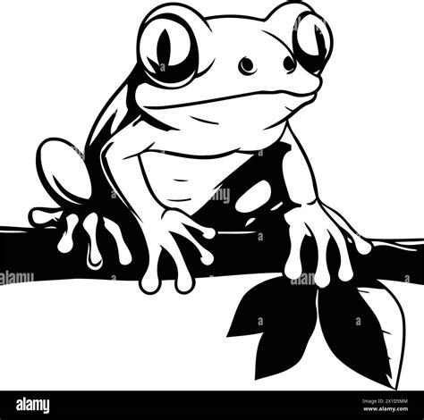 Red Eyed Tree Frog Sitting On A Branch Vector Illustration Stock