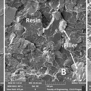 Sem Images Of Fracture Surface After Tensile Test A Resin Wt