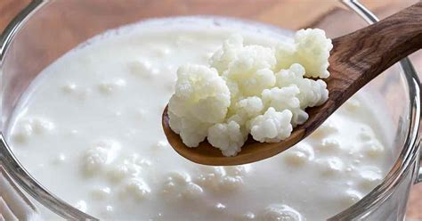 Whole Milk Kefir Nutrition Facts Besto Blog