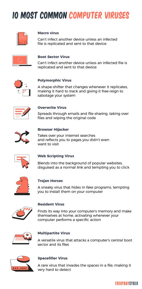 What is a Computer Virus? - EveryDayCyber