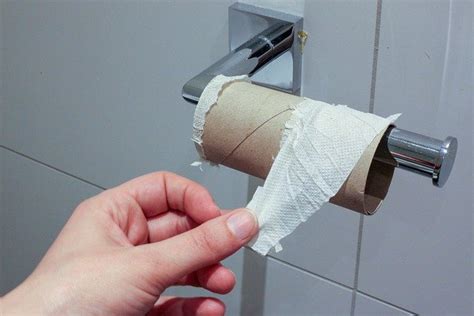 Quel Papier Toilette Pour Sanibroyeur Faites Les Bons Choix