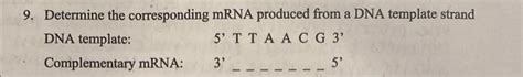 Solved 9. Determine the corresponding mRNA produced from a | Chegg.com 