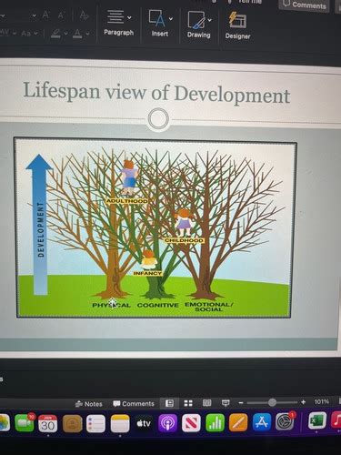 Theoretical Perspectives On Lifespan Development Chapter 1 Flashcards