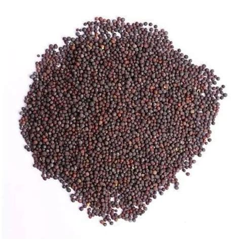 Red Natural Ragi Finger Millet Seeds For Cooking Cooking Style