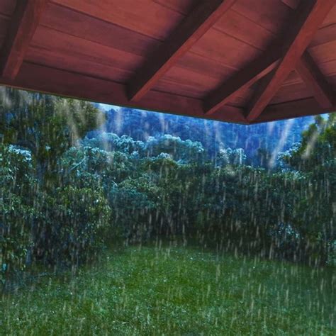 Stream Rain On Roof Sounds For Sleep Natural White Noise In Costa