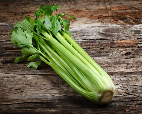 Celery