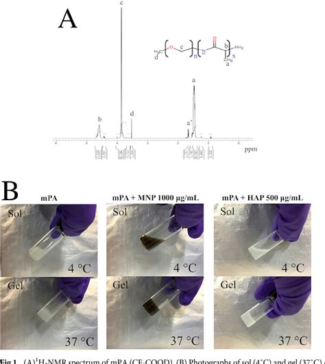 Table 1 From Injectable Polypeptide Hydrogel Inorganic Nanoparticle