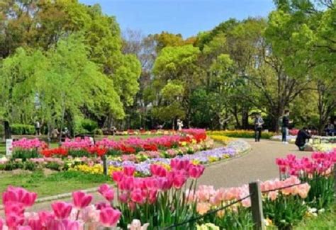 大阪市立長居植物園｜大阪府大阪市東住吉区のおすすめ観光・レジャースポット｜旅色