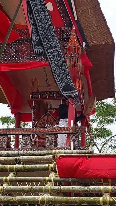 toraja unik mangrimba saronggora gora tongkon tominaa youtube