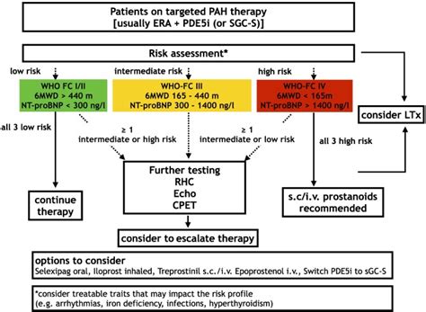 Risk Stratification Strategy And Assessment Of Disease Progression In Patients With Pulmonary